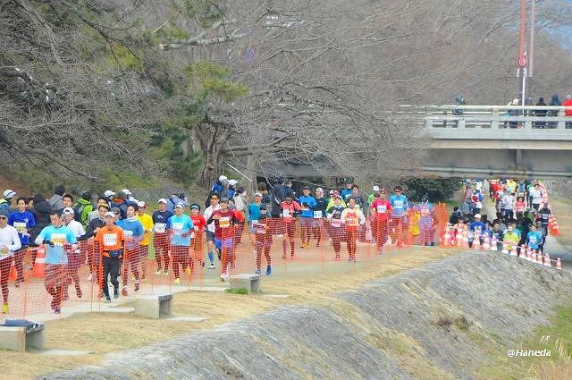 京都マラソン2019-4