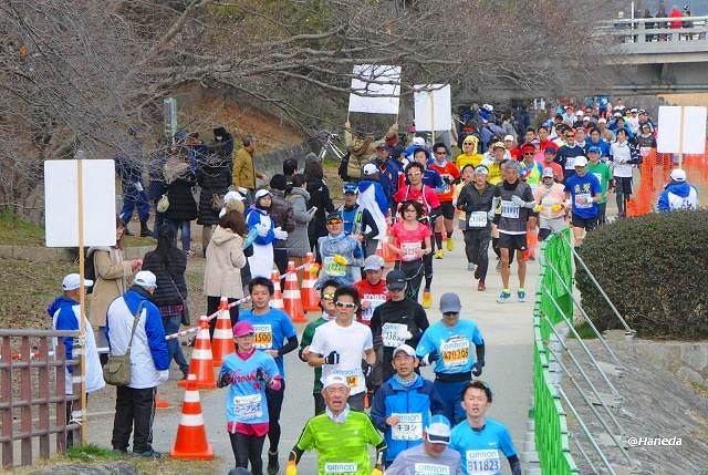 京都マラソン2019-5