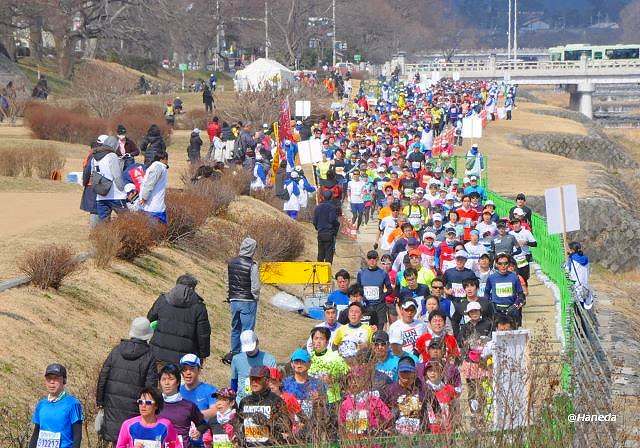 京都マラソン2019-6