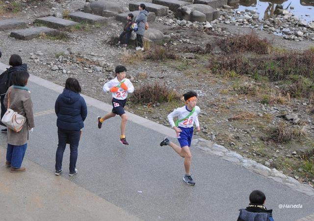 第33回 京都市小学校「大文字駅伝」大会-5
