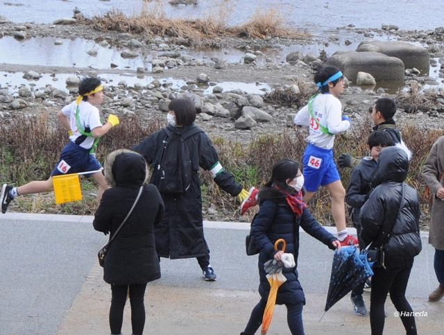 第33回 京都市小学校「大文字駅伝」大会-6