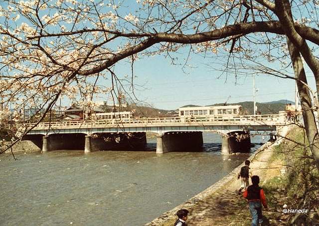 高野橋